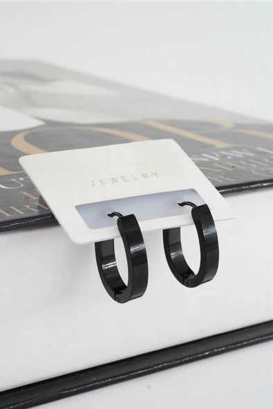 Kadın 316 L Paslanmaz Çelik 2,5 cm Elips Model Küpe - Resim 2