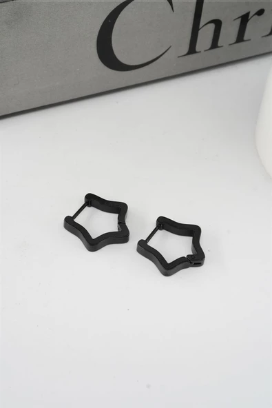 Kadın 316 L Paslanmaz Çelik 2 cm Yıldız Model Küpe - Resim 2