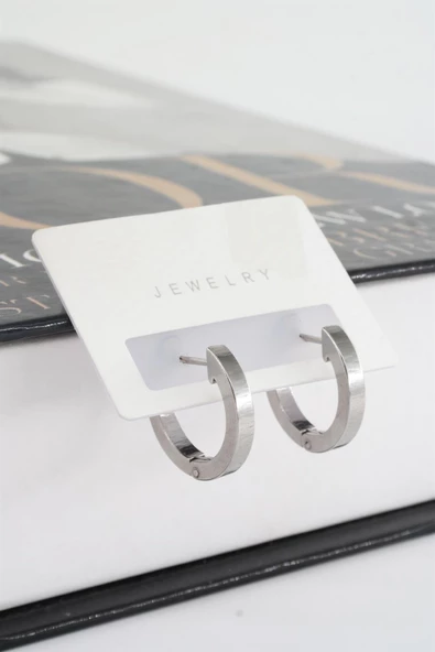 Kadın 316 L Paslanmaz Çelik 2 cm Oval Model Küpe - Resim 2