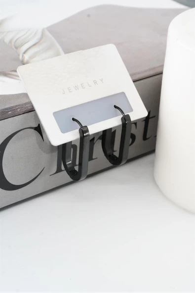 Kadın 316 L Paslanmaz Çelik 2 cm Elips Model Küpe - Resim 2