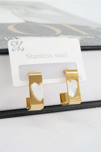 Kadın Vip Seri 316 L Paslanmaz Çelik Mineli Kalp Figürlü 2'li Set Küpe - Resim 3
