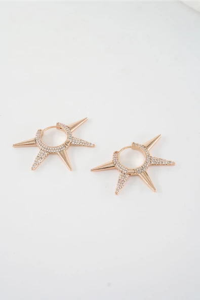 Kadın Vip Seri  Xuping Rose Gold  Küpe Seti - Resim 2