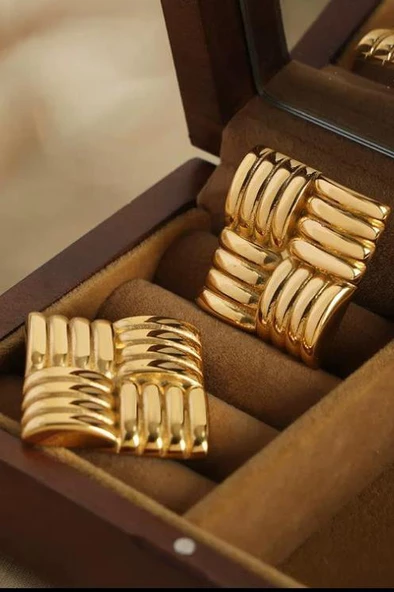 Kadın Vip Seri Özel Tasarım Marka Küpe Seti - 3