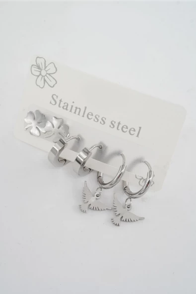 Kadın 316 L Paslanmaz Çelik Kararmaz  6'lı Küpe Seti - Resim 2