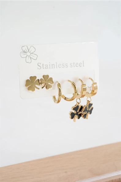 Kadın 316 L Paslanmaz Çelik Kararmaz  6'lı Küpe Seti - Resim 2