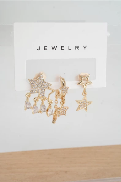 Kadın Vip Seri Anti alerjenik 3'lü Küpe YSX0010