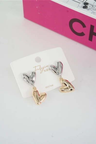 Kadın Vip Seri  Gümüş Klipsli Anti alerjenik Küpe  STL003 - Resim 3