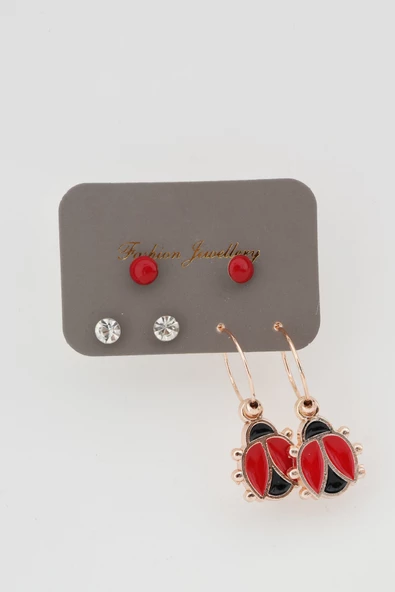 Kadın Uğur Böcekli 6'lı Küpe Set ürün görseli