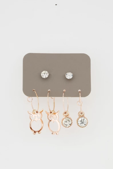 Kadın Baykuş Sallantılı ve Tek Taşlı 6'lı Küpe Set ürün görseli