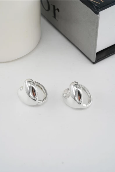 Kadın Vip Seri Kalp Figürlü Küpe - Resim 2