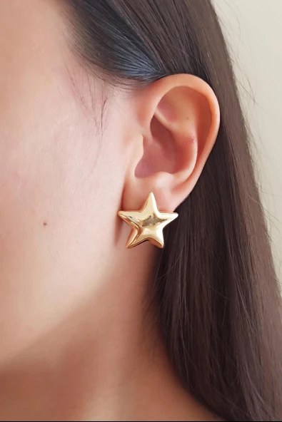 Kadın Özel Tasarım Kalp Model Küpe zyna001 - Resim 2