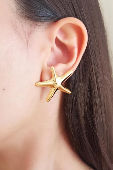 Kadın Özel Tasarım Deniz Yıldızı Model Küpe 001 - Resim 2