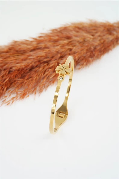 Kadın 316 L Paslanmaz Çelik Anti Alerjenik Zirkon Taşlı Yonca Model Çelik Bileklik - Resim 3