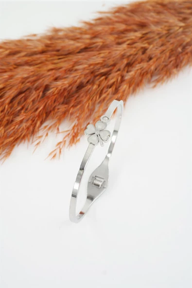 Kadın 316 L Paslanmaz Çelik Anti Alerjenik Zirkon Taşlı Yonca Model Çelik Bileklik ürün görseli