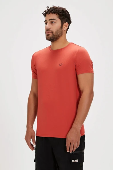 Bad Bear 24.01.07.009 Frank Erkek Tişört - Resim 2