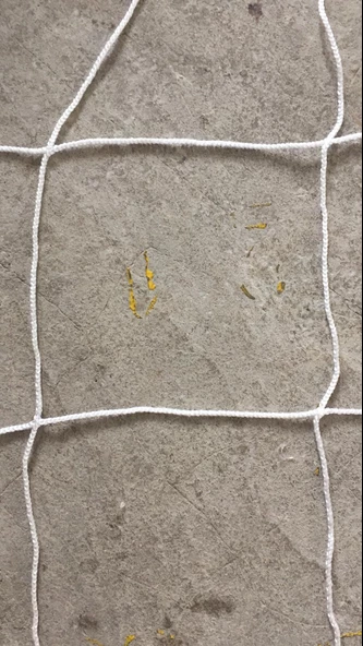 Beyaz Bitki Destek ve Çit Çevirme Filesi 5 metre, En: 2m İp Kalınlığı: 2,8 mmSalatalık, Fasülye, Kabak Filesi - Resim 3