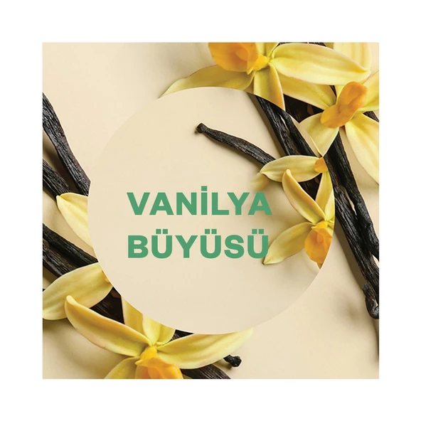 Air Wick Elektrikli Oda Kokusu Yedek Şişe Vanilya Büyüsü - Esansiyel Yağlar Içerir x 2 Adet - 2