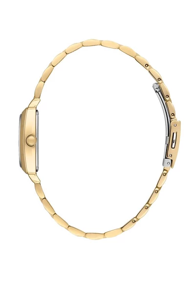 Daniel Klein DK.1.13766-2 Kadın Kol Saati - Resim 2