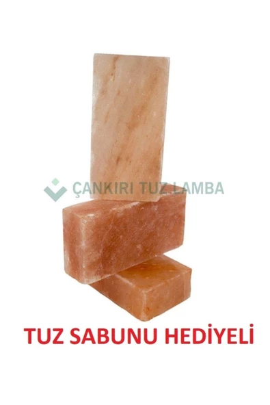 Himalaya Tuz Tuğlası 20Cm X 10Cm X 2,5Cm