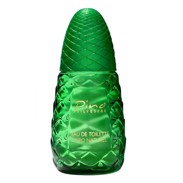 Pino Silvestre Edt 125 Ml Erkek Parfüm