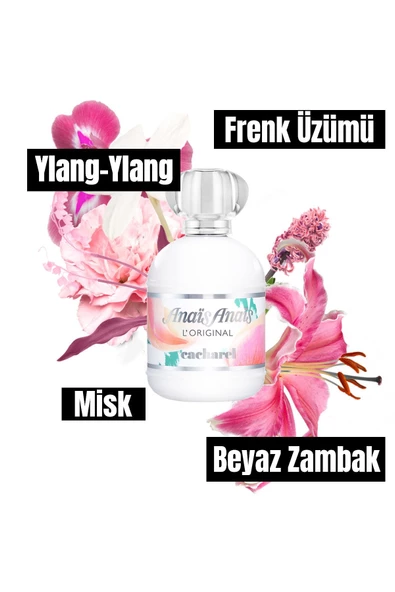 CACHAREL ANAIS REPACK EDT 100ML - 4