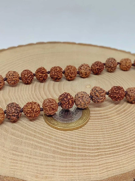 Rudraksha Tohum Düğümlü 33lük Tesbih  (51622) - Resim 3