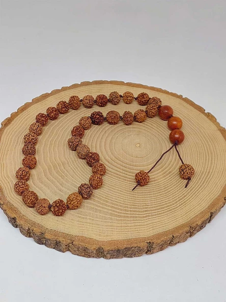 Rudraksha Tohum Düğümlü 33lük Tesbih  (51622) - Resim 2