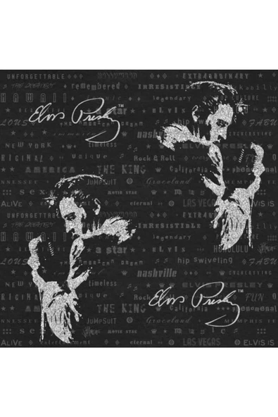 3 DYNAMIC FRANSIZ DUVAR KAĞIDI 102543 (5m2) ürün görseli