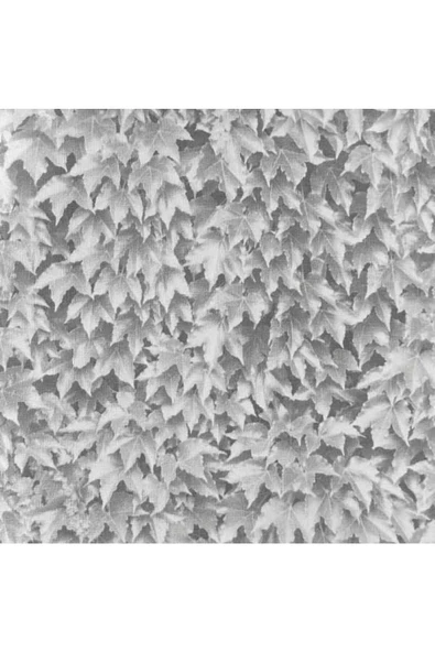 MİDA KORE DUVAR KAĞIDI 7023-1 (16,5m2) ürün görseli