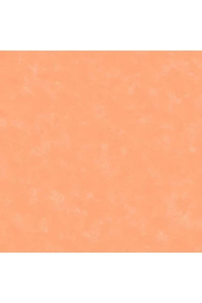 FREE STYLE FRANSIZ DUVAR KAĞIDI 8699ET (5m2) - Resim 2