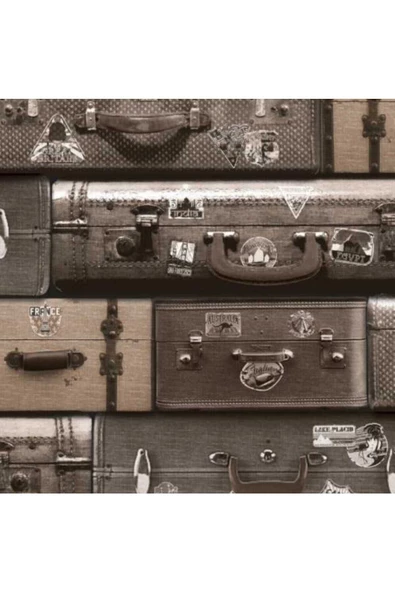 3 DYNAMIC FRANSIZ DUVAR KAĞIDI J704-08 (5m2) - Resim 2