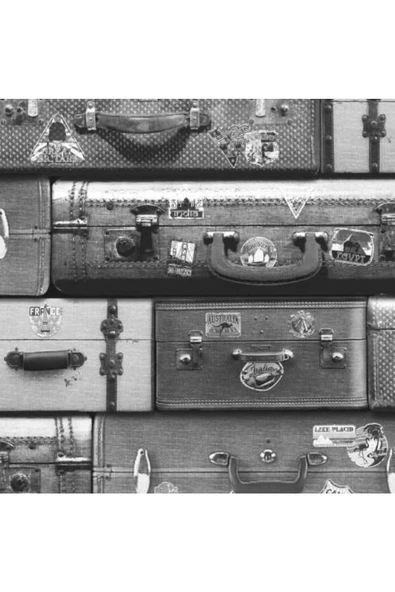 3 DYNAMIC FRANSIZ DUVAR KAĞIDI J704-09 (5m2) ürün görseli