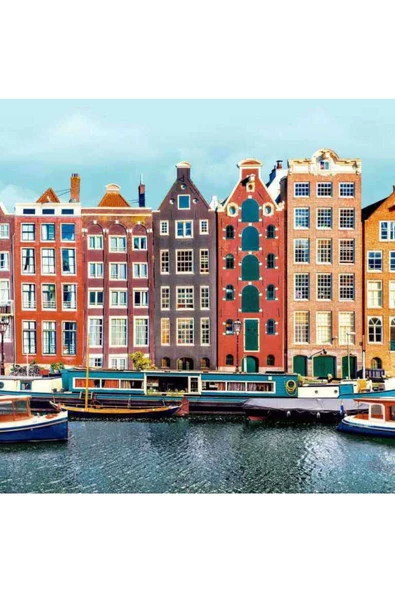 HORIZONS FRANSIZ DUVAR KAĞIDI L61910 (BORDÜR) (5m2) ürün görseli