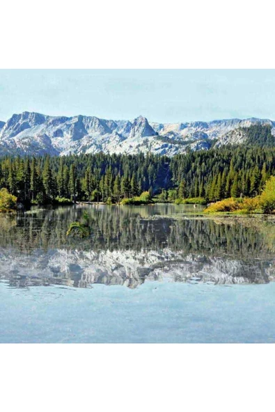 HORIZONS FRANSIZ DUVAR KAĞIDI L59501 (BORDÜR) (5m2) ürün görseli