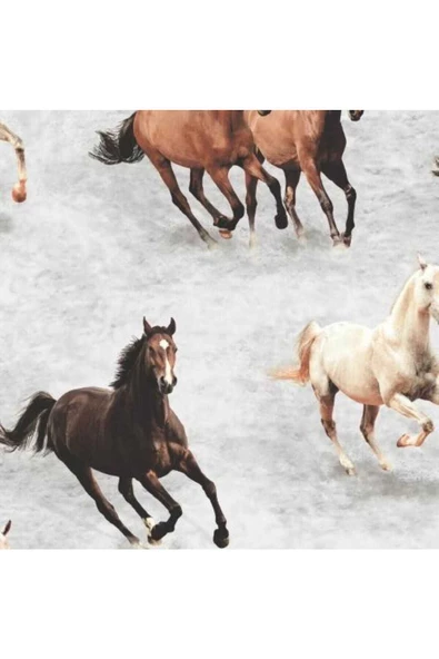 SAHARA NIGHTS FRANSIZ DUVAR KAĞIDI SK10038 (5m2) ürün görseli