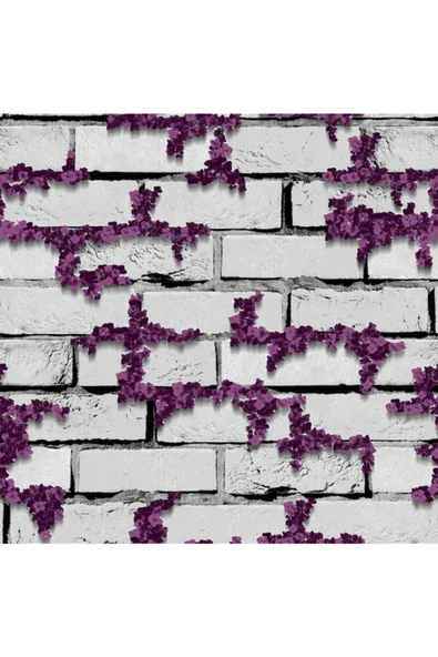 Petra 5202-1 Duvar Kağıdı - Resim 2