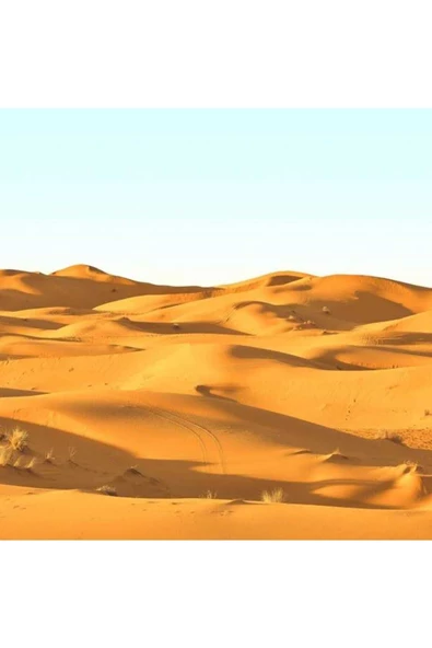 SAHARA NIGHTS FRANSIZ DUVAR KAĞIDI SK10048 (BORDÜR) (5m2) ürün görseli