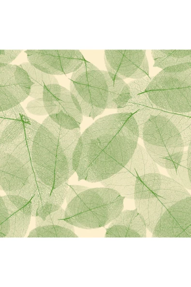 Petra 5207-4 Duvar Kağıdı ürün görseli