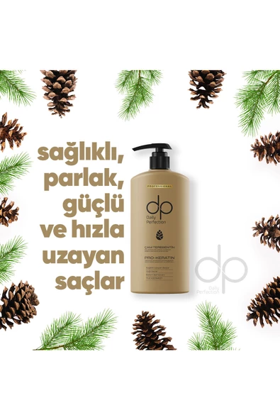 DP DAİLY PERFECTİON,Şampuan 425 ml Çam Terebentin - 2