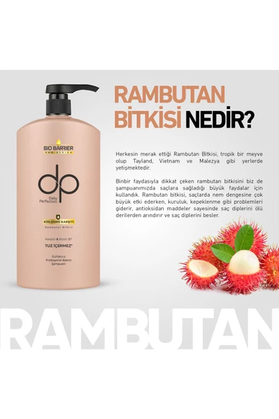 DP DAİLY PERFECTİON,Bio Barrier Şampuan Kirlenme Karşıtı Şampuan 2 Adet 500 ml - 3