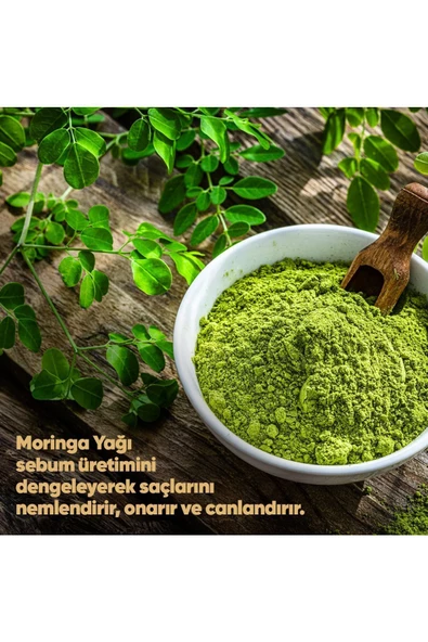 DP DAİLY PERFECTİON,Moringa Saç Bakım Kremi 350 ml - 2