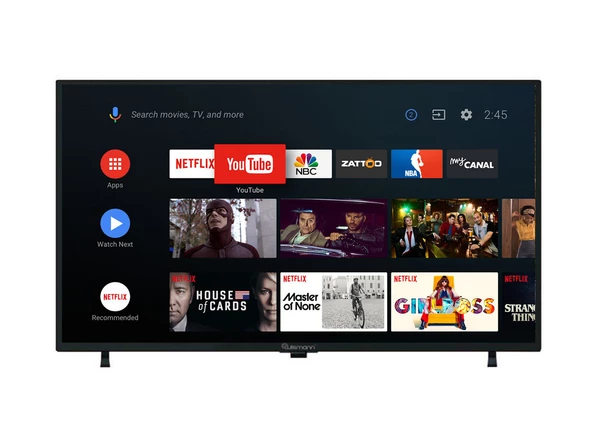 Wismann 32" 82 Ekran Uydu Alıcılı HD Lisanslı Android  Led Tv