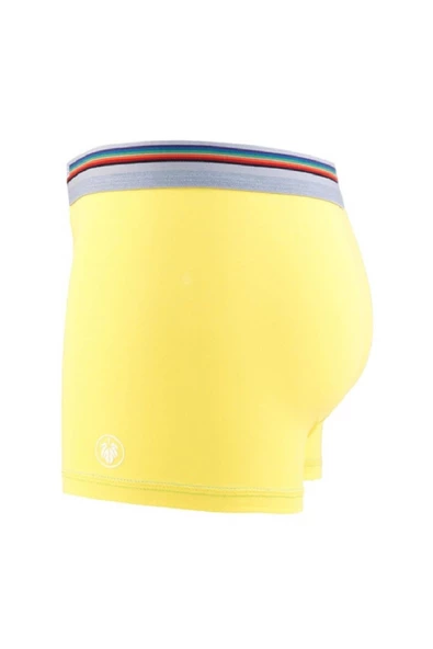Blackspade 9550 Colours %95 Pamuklu Erkek Renkli Boxer - 3