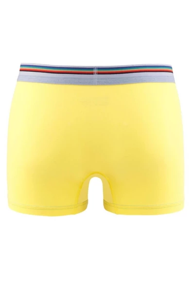 Blackspade 9550 Colours %95 Pamuklu Erkek Renkli Boxer - 4
