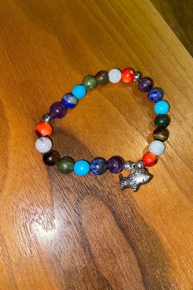Çİn Takvimi Burçları 7 Çakra Doğal Taş Bileklik Hand Made El İşi Feng Shui Ejderha Yılı Koruyucu Hayvan Dog Köpek Objeli - 9