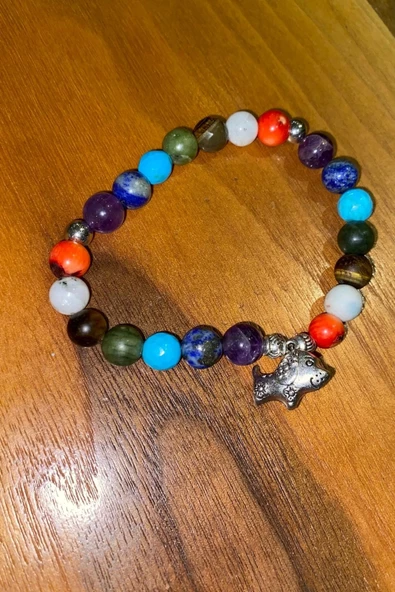 Çİn Takvimi Burçları 7 Çakra Doğal Taş Bileklik Hand Made El İşi Feng Shui Ejderha Yılı Koruyucu Hayvan Dog Köpek Objeli - 5