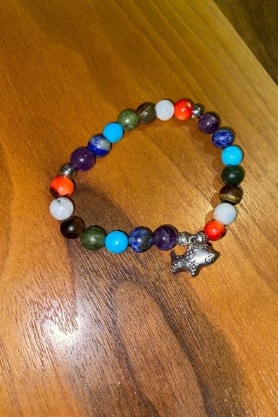 Çİn Takvimi Burçları 7 Çakra Doğal Taş Bileklik Hand Made El İşi Feng Shui Ejderha Yılı Koruyucu Hayvan Dog Köpek Objeli - 8