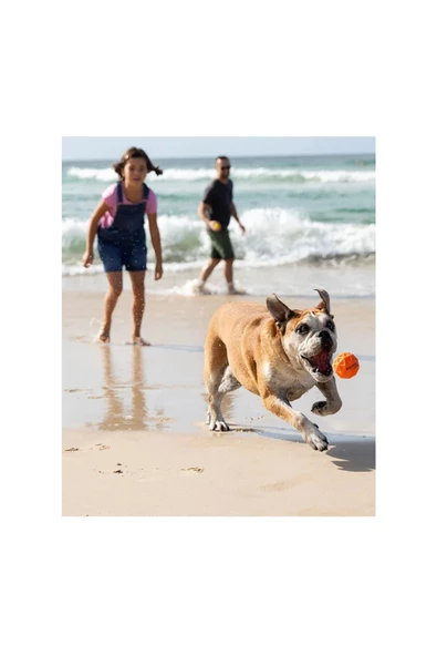 Waboba Fetch Suda Zıplayan Top Köpek Oyuncağı - 5