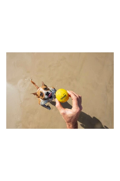 Waboba Fetch Suda Zıplayan Top Köpek Oyuncağı - 6