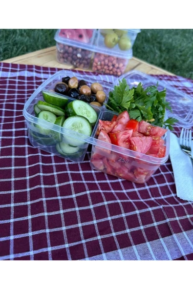 Large 6 Adet Bölmeli Piknik Saklama Kutusu Okul Beslenme Kabı Taşınabilir Diyet Öğünlük Porsiyon - 3